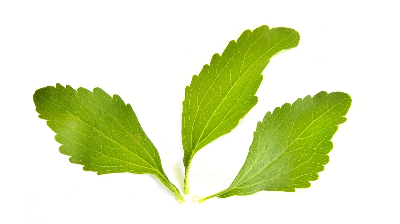 Read more about the article Switch to stevia: The sugar alternative for Diet.